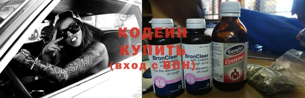 ГАЛЛЮЦИНОГЕННЫЕ ГРИБЫ Аркадак