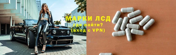 ГАЛЛЮЦИНОГЕННЫЕ ГРИБЫ Аркадак