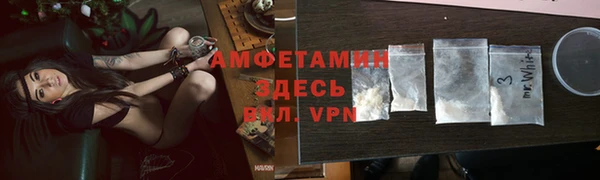 ГАЛЛЮЦИНОГЕННЫЕ ГРИБЫ Аркадак