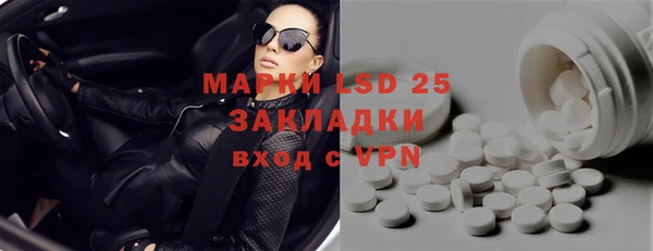 ГАЛЛЮЦИНОГЕННЫЕ ГРИБЫ Аркадак