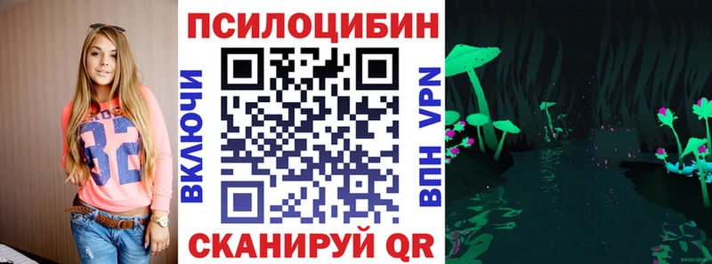 Купить закладки  Суровикино  Псилоцибиновые грибы Psilocybe 