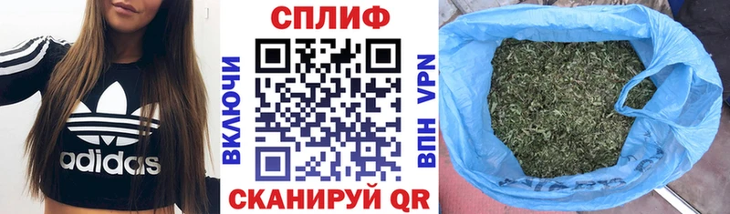 Купить закладки Суровикино Марихуана семена